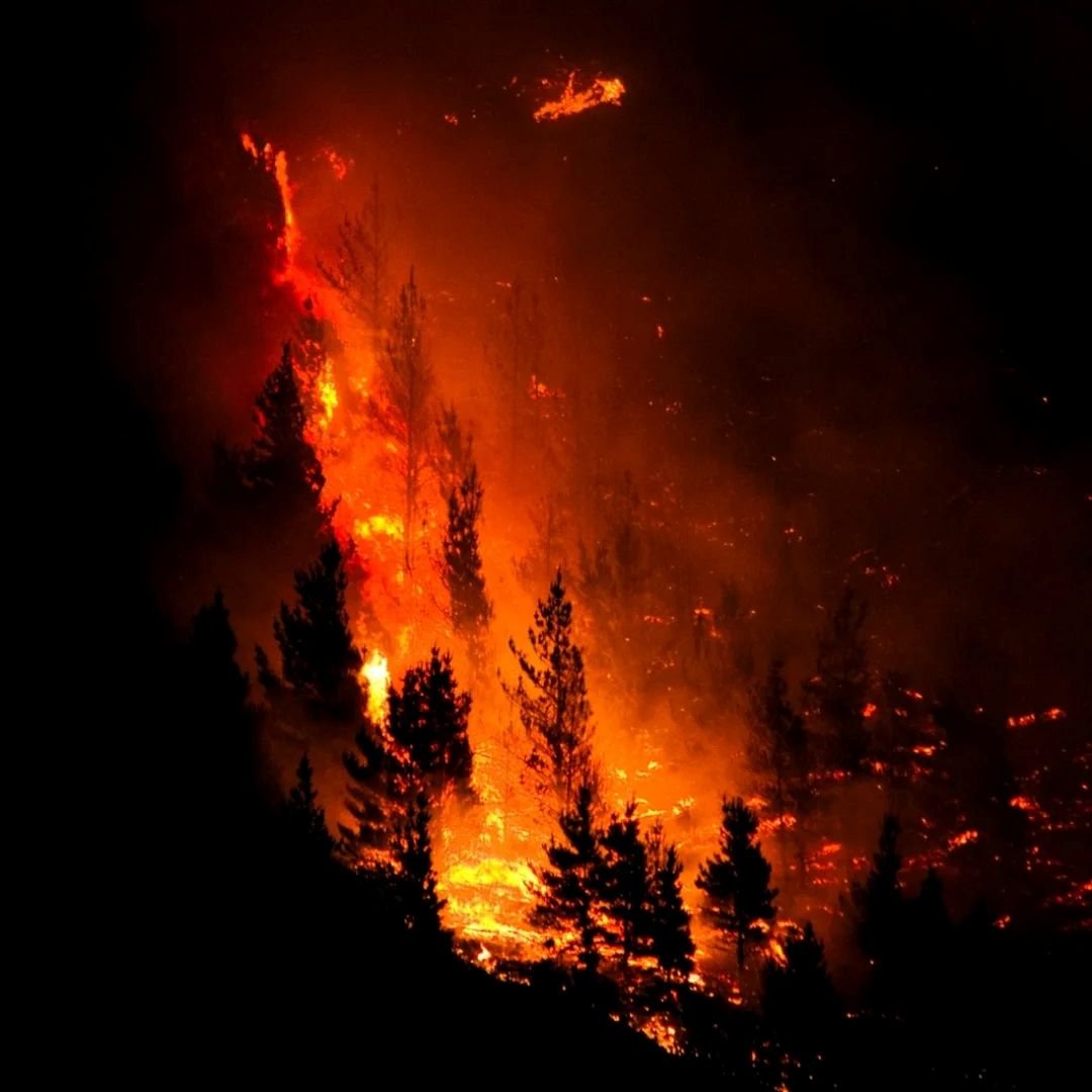 Incêndio criminoso na Patagônia em 2026: causas, devastação e resposta internacional
