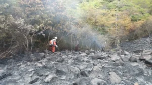 Brigadistas combatem incêndio florestal em área de vegetação seca no Brasil